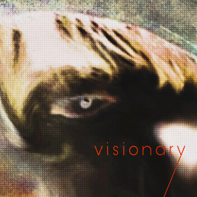 visionary cover art