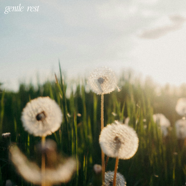 gentle rest