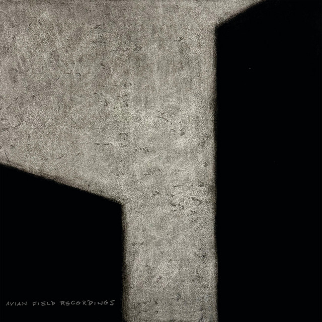 Avian Field Recordings cover art