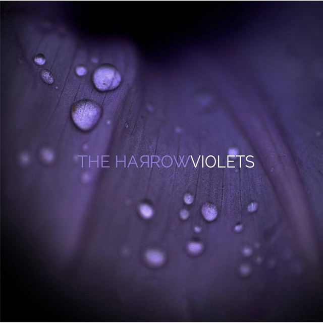 Violets cover art