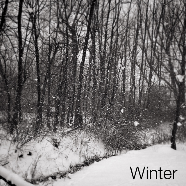 Winter cover