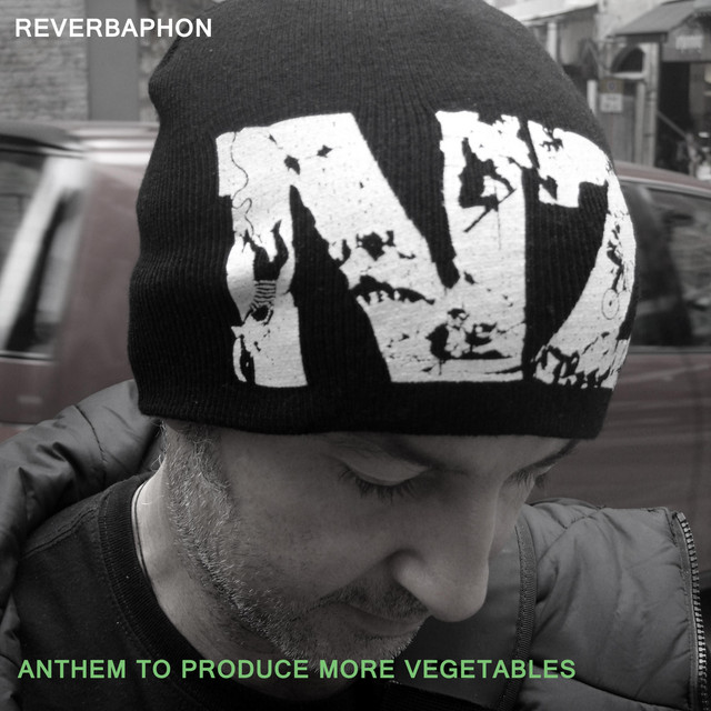 Reverbaphon Photo