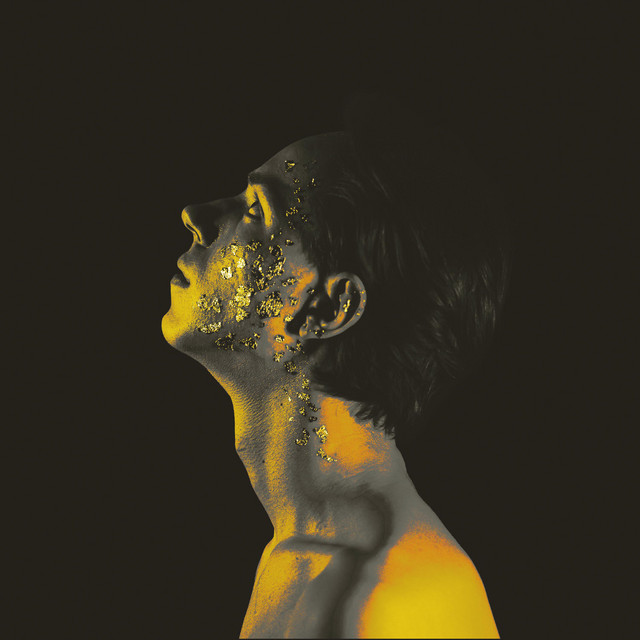 Voices cover art