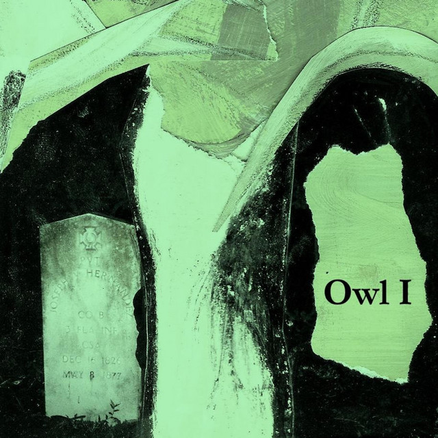 Owl I cover