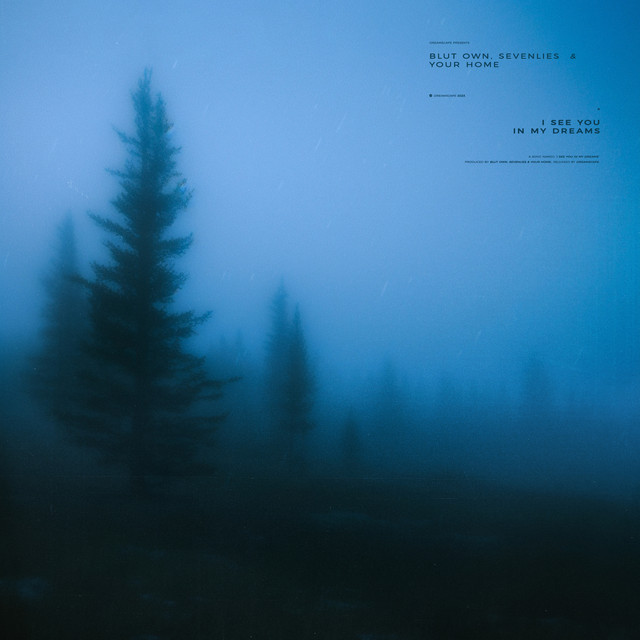 I see you in my dreams cover art