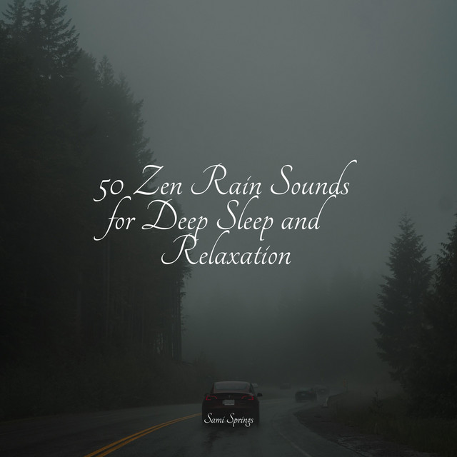 50 Zen Rain Sounds for Deep Sleep and Relaxation - Album by Ambient ...
