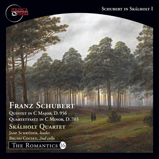 String Quintet in C Major, Op. 163, D. 956: IV. Allegretto