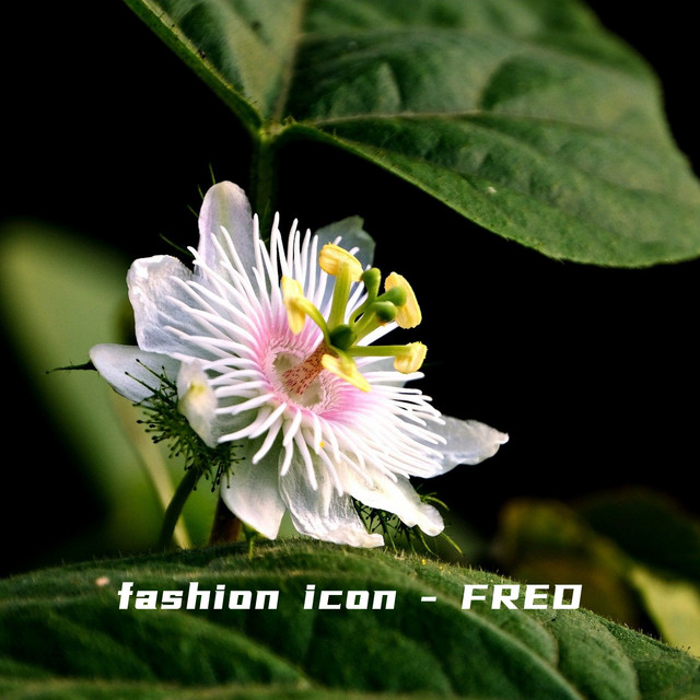 fashion icon cover art