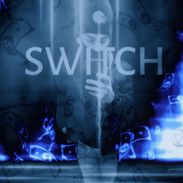 Switch cover art