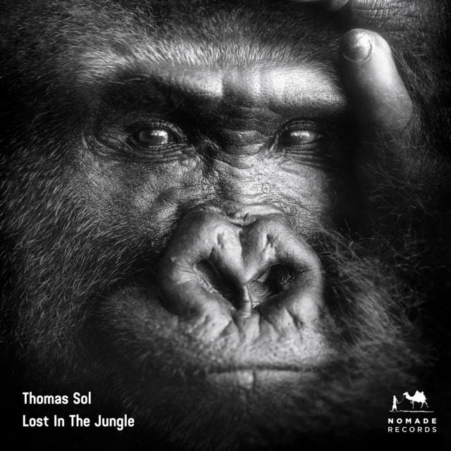 Lost In The Jungle cover