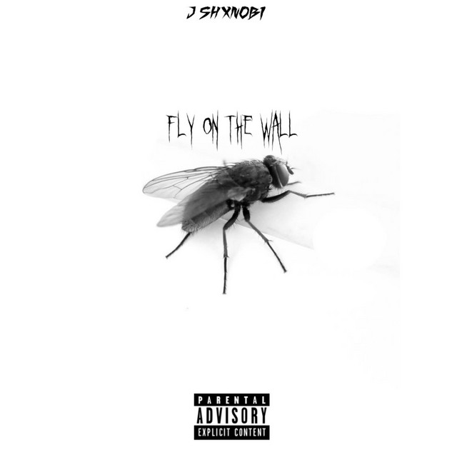 FLY ON THE WALL cover art