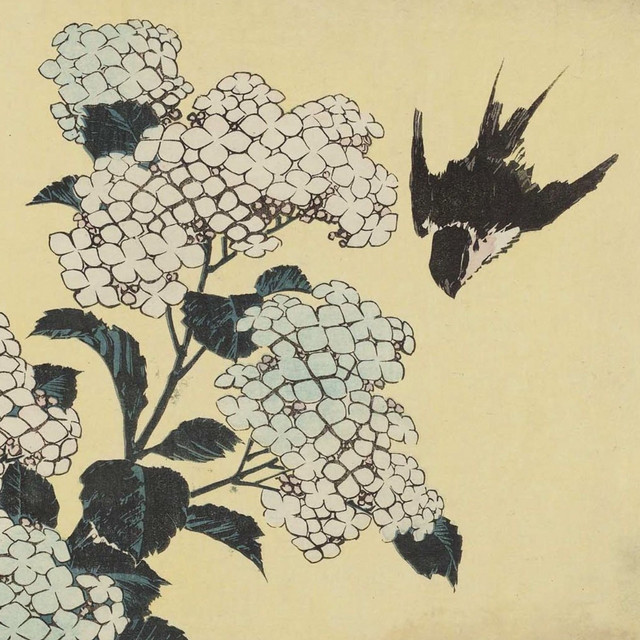 Nothing Song And Lyrics By 近藤花 Spotify