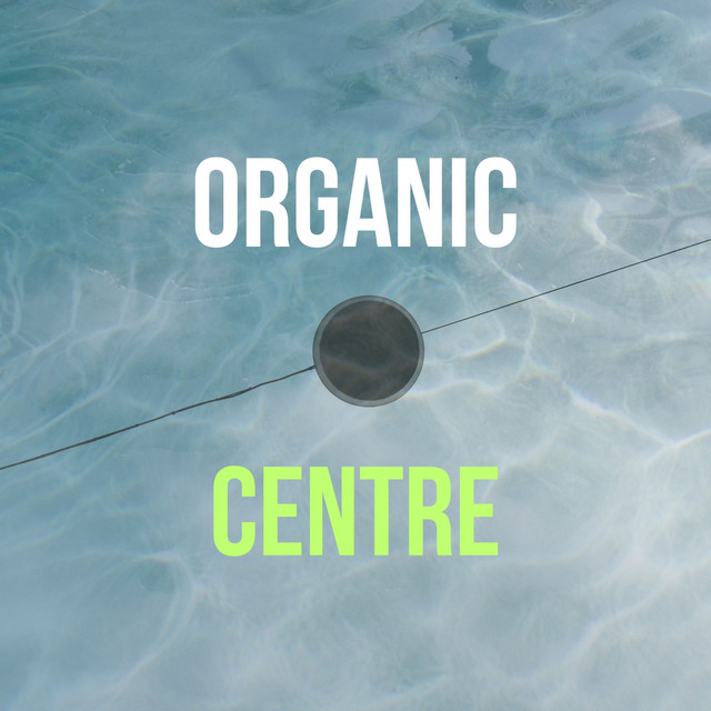 Organic Centre (DJ Mix) cover art