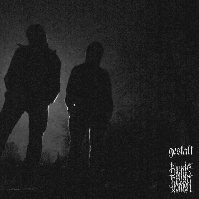 Dunkle Sphären cover art