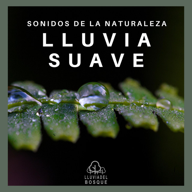 Sonidos de la Naturaleza: Lluvia Suave cover art