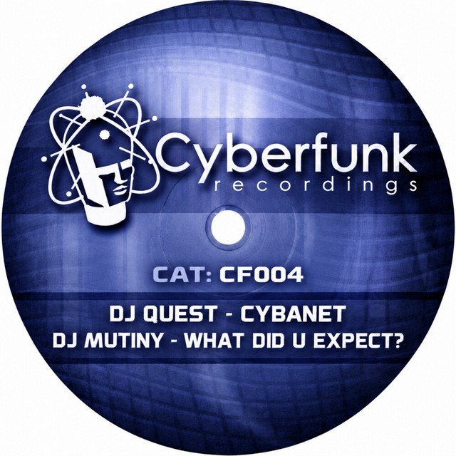 Cybanet / What Did U Expect? cover