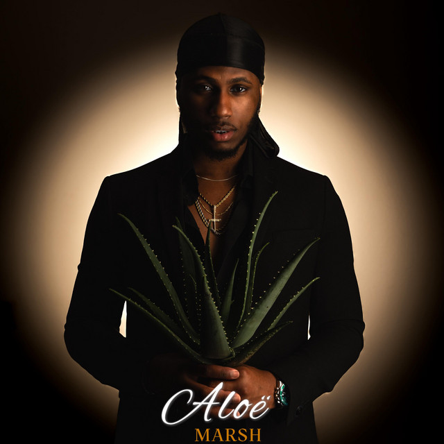 Aloe cover art