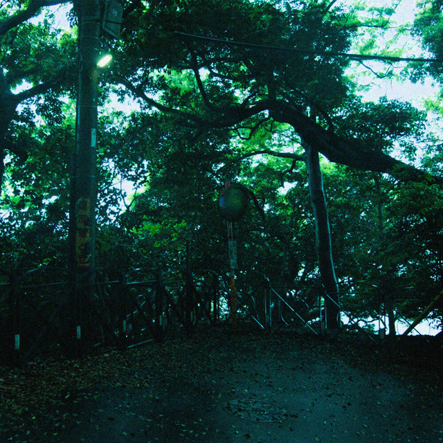 undefined album image