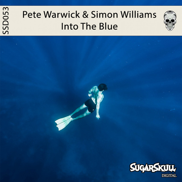 Into The Blue cover