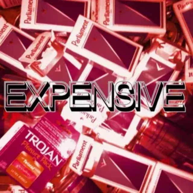 Expensive - Single by Ayesha Erotica | Spotify