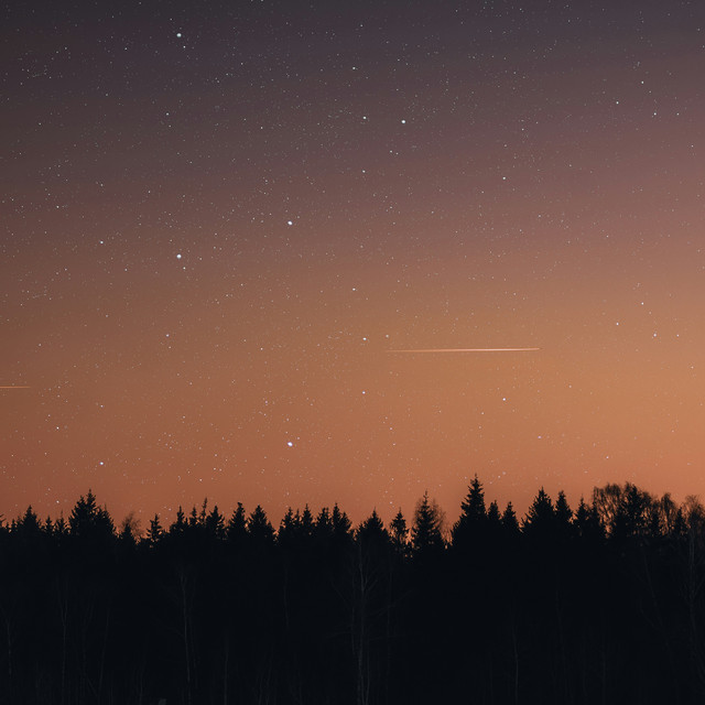 Lucid