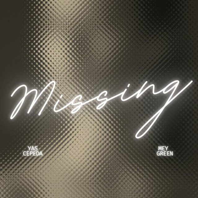MISSING cover art