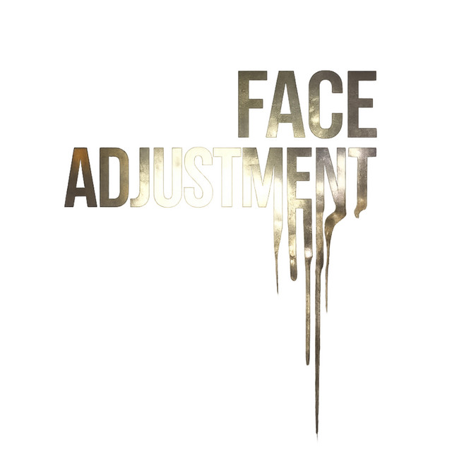 FACE ADJUSTMENT cover