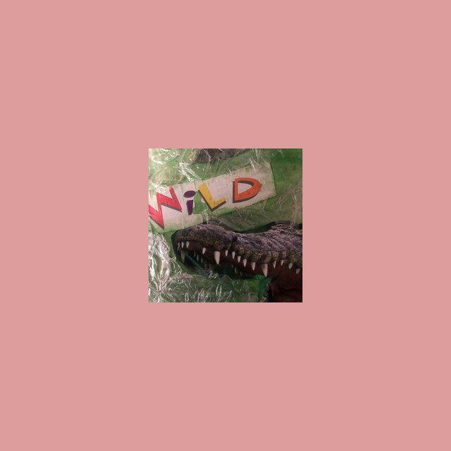 Cold Nights cover art