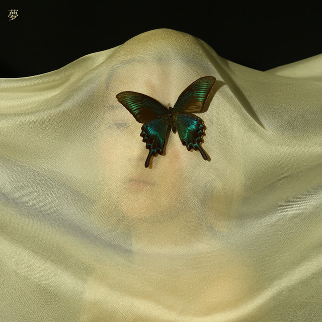 Dream cover art