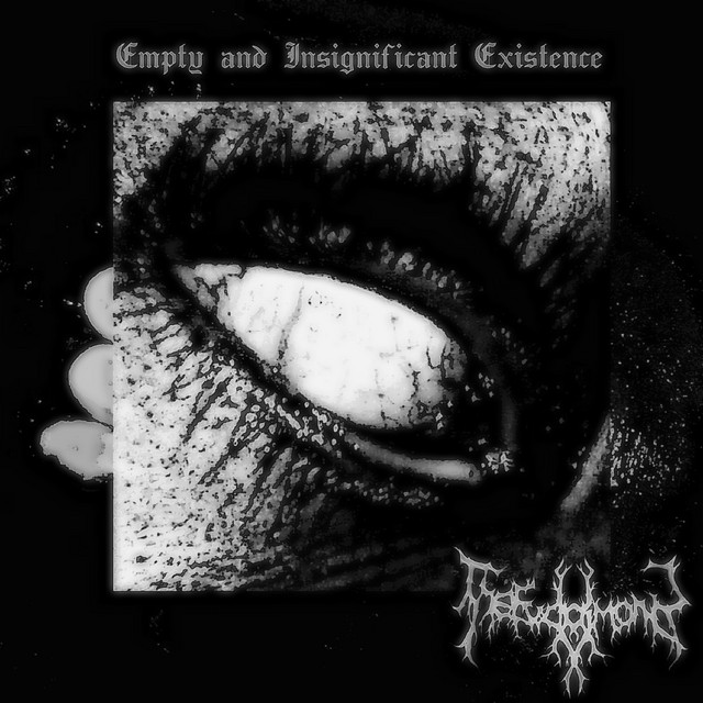 Empty and Insignificant Existence cover art