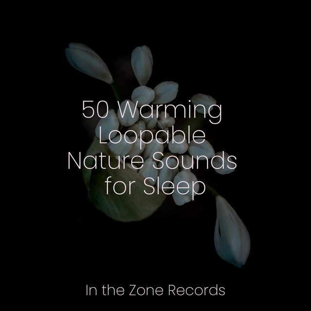 50 Warming Loopable Nature Sounds for Sleep - Album by Relaxing Music ...