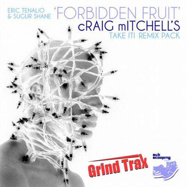 Forbidden Fruit - Craig Mitchell's Take It In Mix cover art