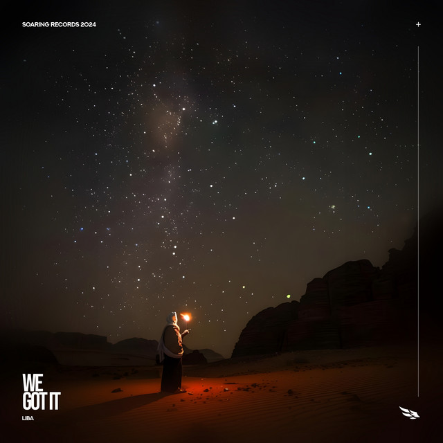 We Got it cover art
