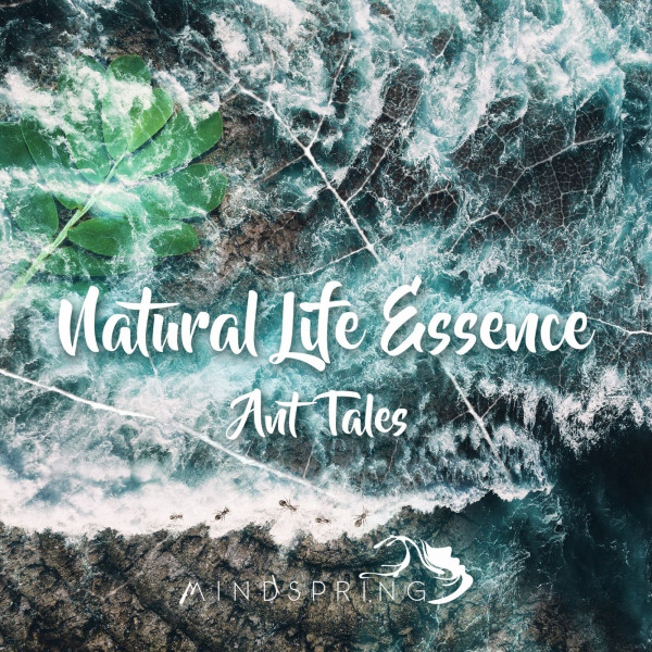 Ant Tales cover art