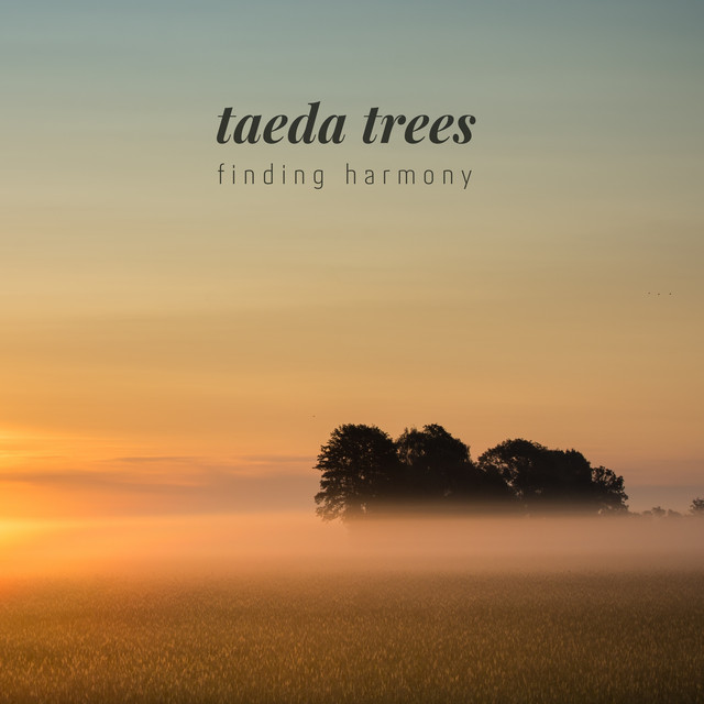 Cover of Finding Harmony by Taeda Trees