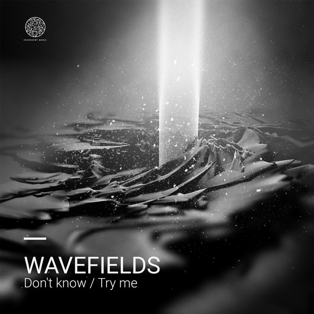 Don't Know / Try Me cover art