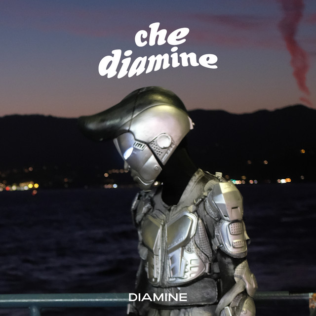 che diamine cover art