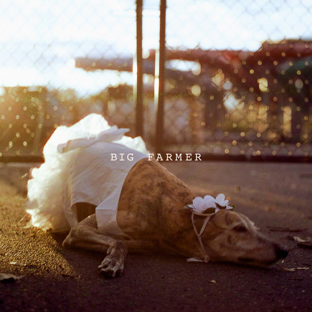 Big Farmer (single)