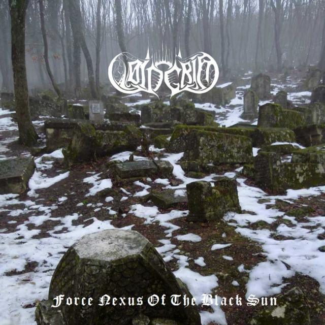Обкладинка Voin Grim — Force Nexus Of The Black Sun