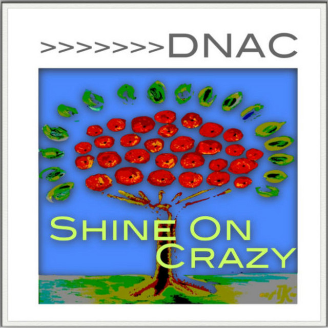 Shine On Crazy cover