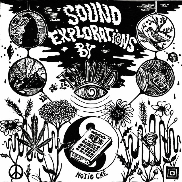 Sound Explorations by The Mind cover art