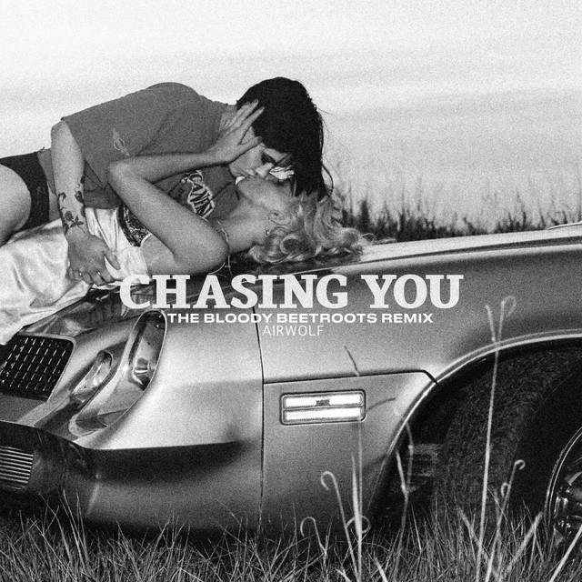 Chasing You (The Bloody Beetroots remix)