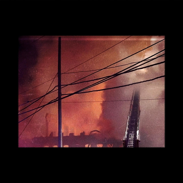 rhizome / dendrite (single)