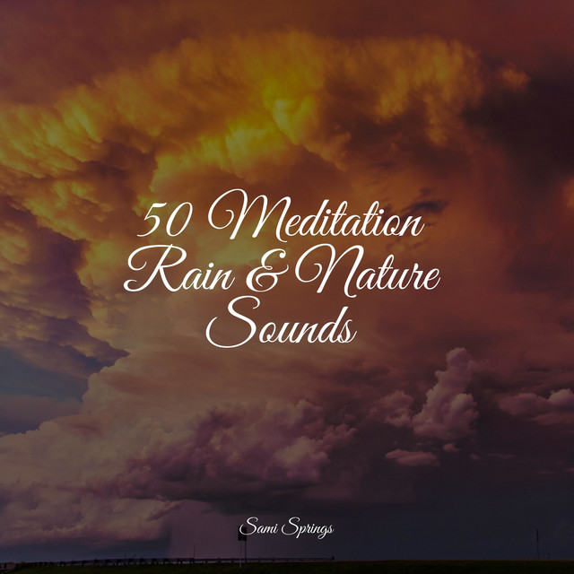 50 Meditation Rain & Nature Sounds - Album by Nature Sound Collection ...