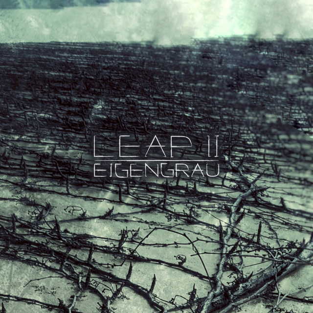 Leap II cover