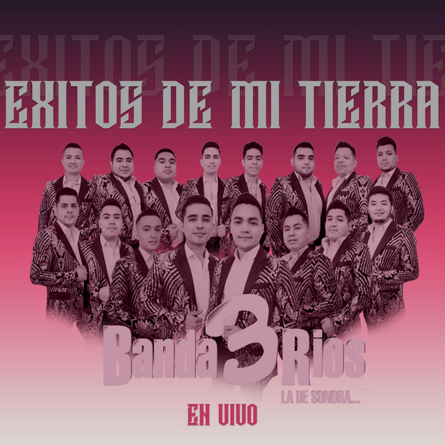 Exitos De Mi Tierra (En Vivo) cover art