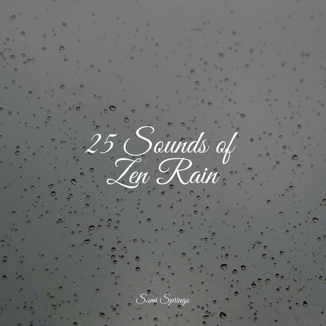 25 Sounds of Zen Rain - Album by Spa | Spotify