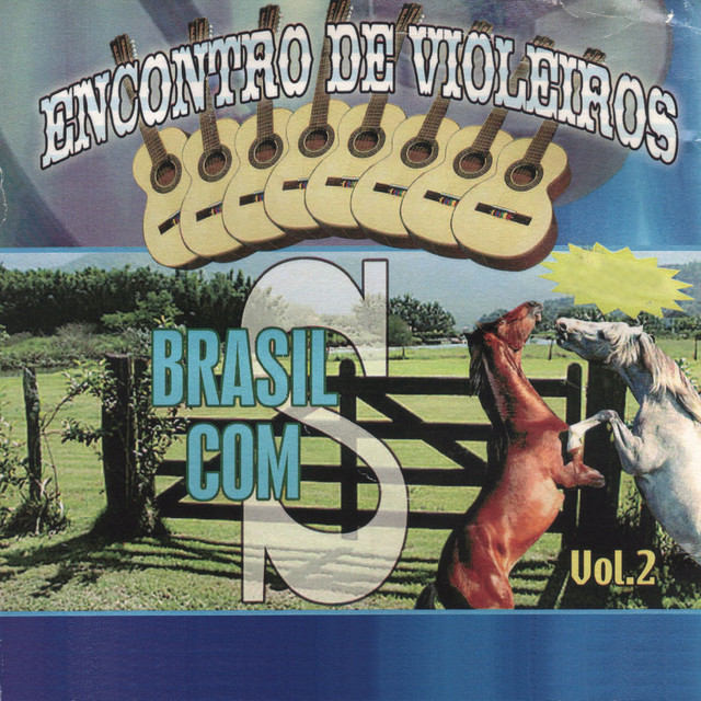 Encontro de Violeiros, Vol. 2