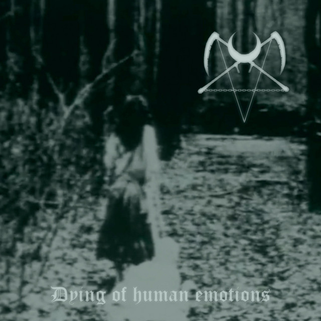 Обкладинка The Vortex of Agony — Dying of human emotions