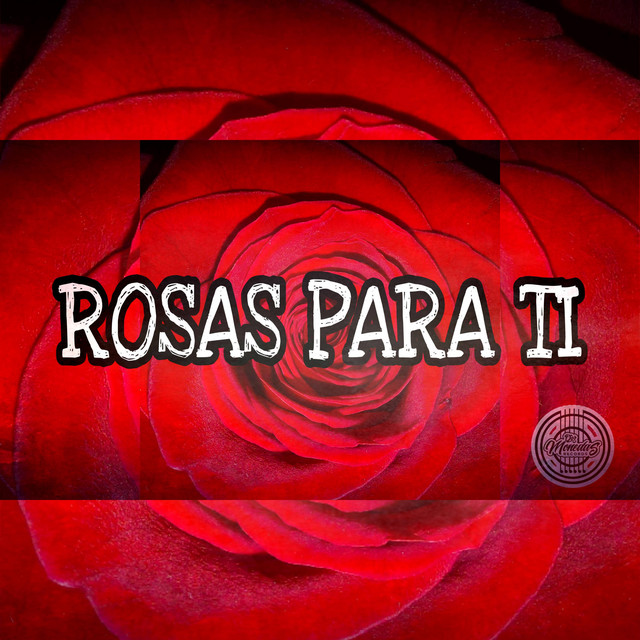 ROSAS PARA TI - song and lyrics by El Seis | Spotify